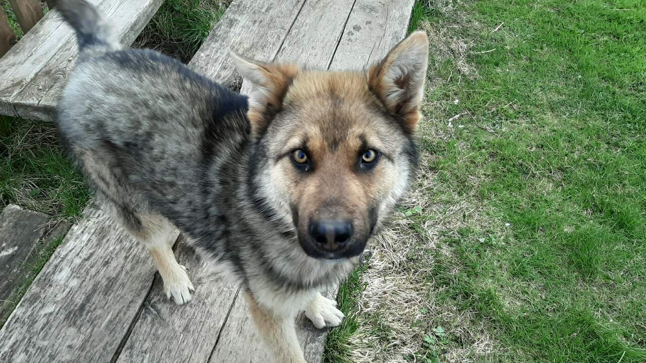 С 1 апреля 2026 года в России начинает действов...