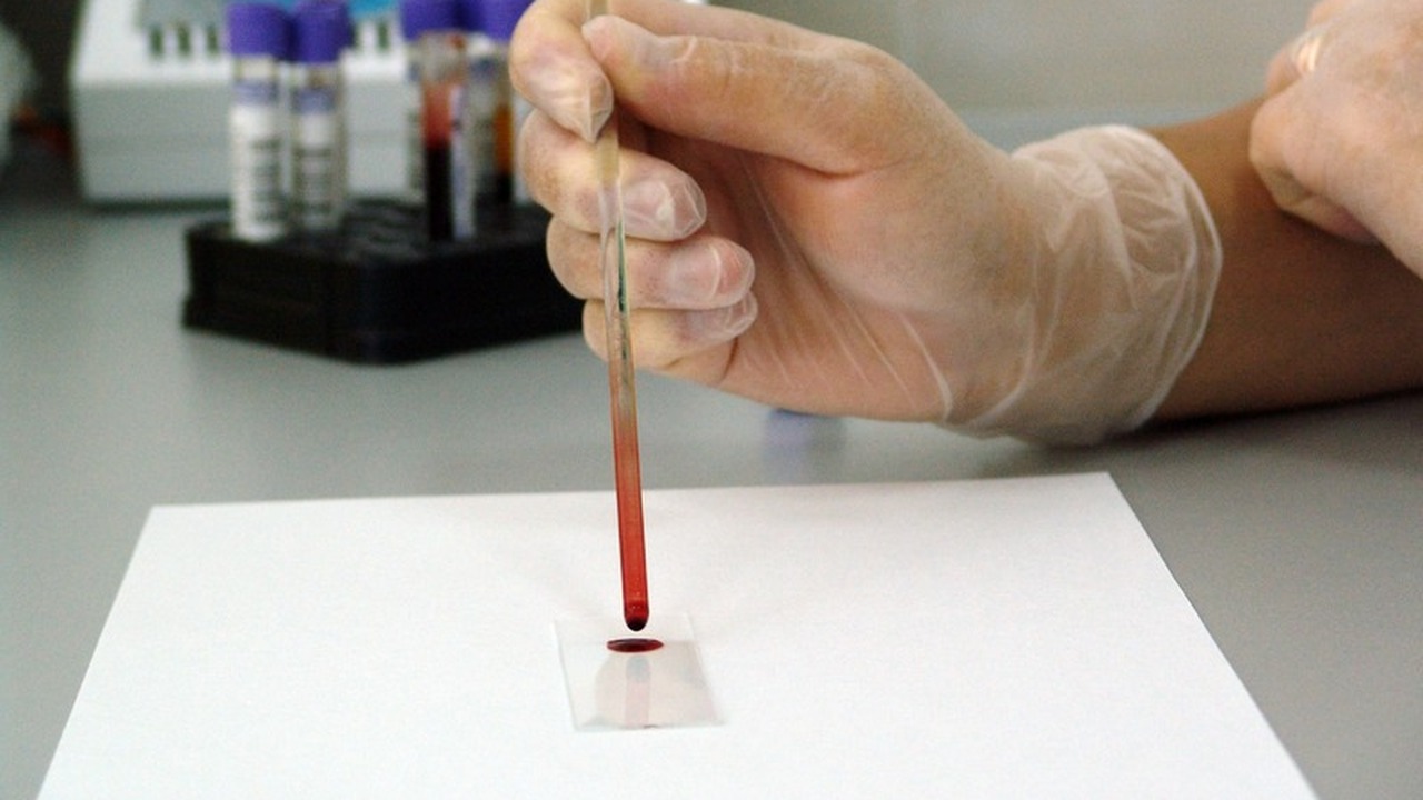 Кровь против инфекций: Российские ученые создали универсальный препарат Пермские ученые разработали инновационный препа...