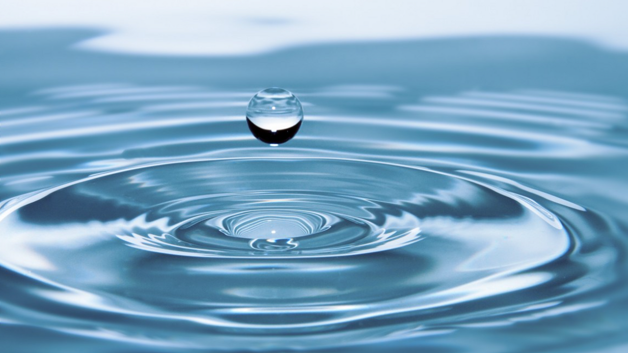 Специалисты в области экологии и медицины бьют ...