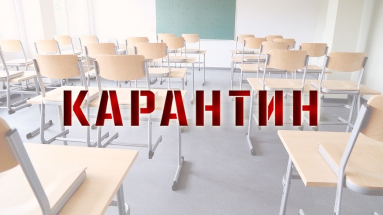 В Карелии 20 классов в 9 школах отправили на ка...