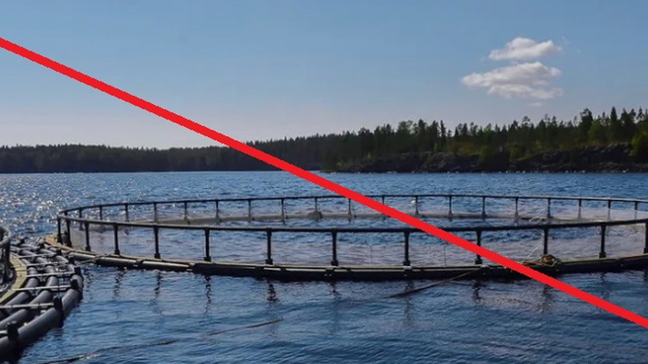 Рыбоводный участок на Охтиярви в Карелии не будет создан Власти Карелии отклонили заявку на создание нов...