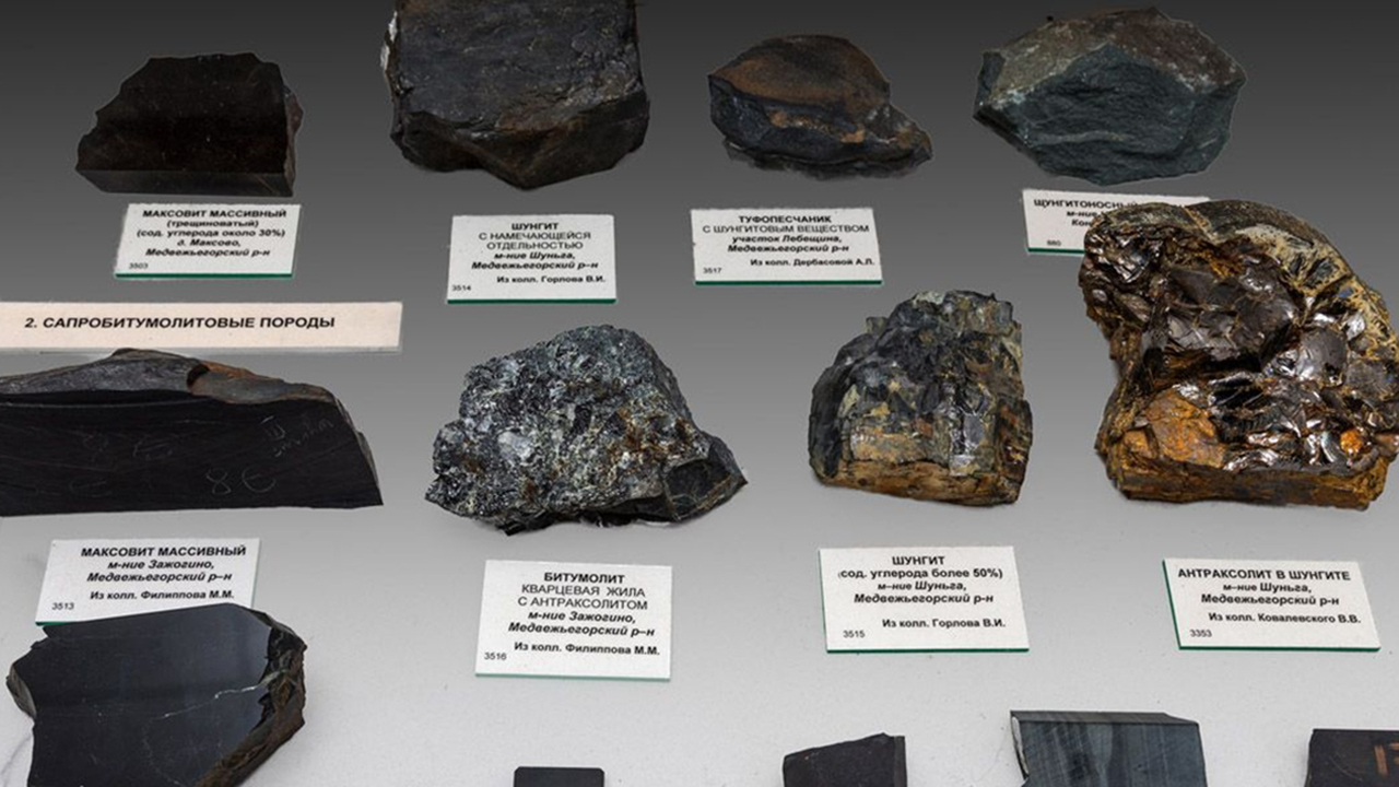 Бизнес и наука Карелии объединились для изучения шунгита Карельский научный центр РАН и "Карельская инве...