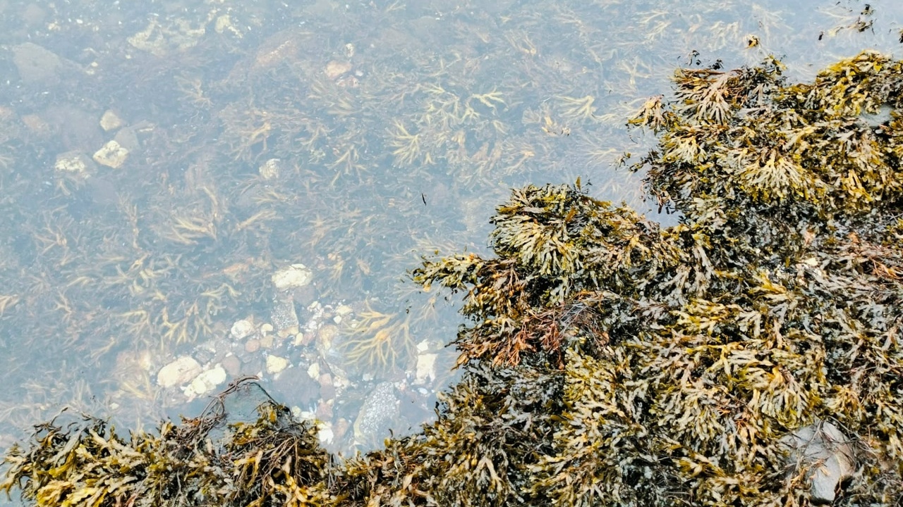 В поселке Березовка стартовало строительство за...