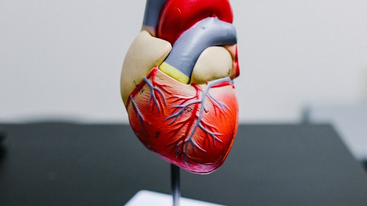 Исследователи Оклендского университета установи...