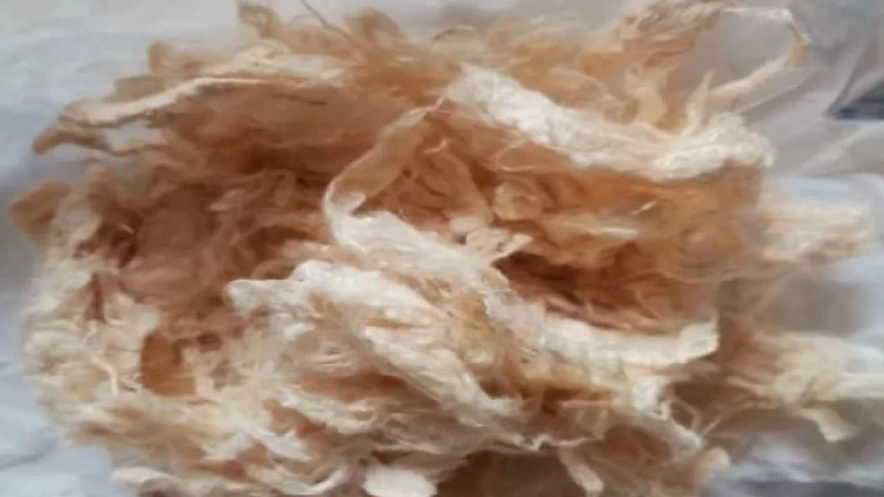 Ученые из Бурятии получили целлюлозу из конопли с помощью «электрошока» Учёные из научных центров Бурятии и МГТУ им. Ба...