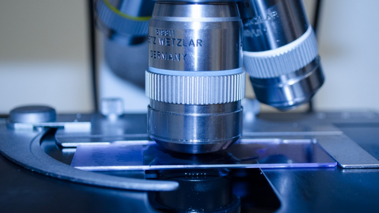 Российские ученые нашли в угле вещества, подавляющие вирус клещевого энцефалита Учёные из России представили инновационный мето...