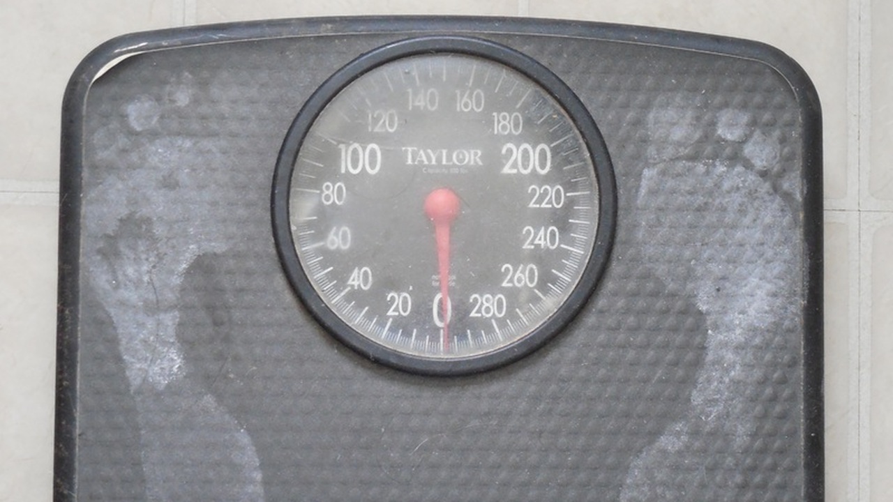 Открыт новый путь к контролю жировой болезни печени Ученые из Университета Кейс Вестерн Резерв выяв...