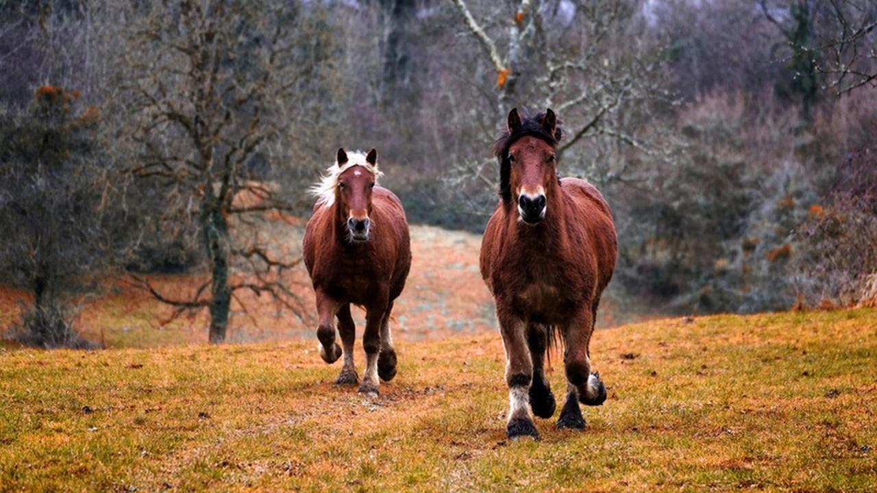 Астролог Тамара Глоба назвала три знака зодиака...