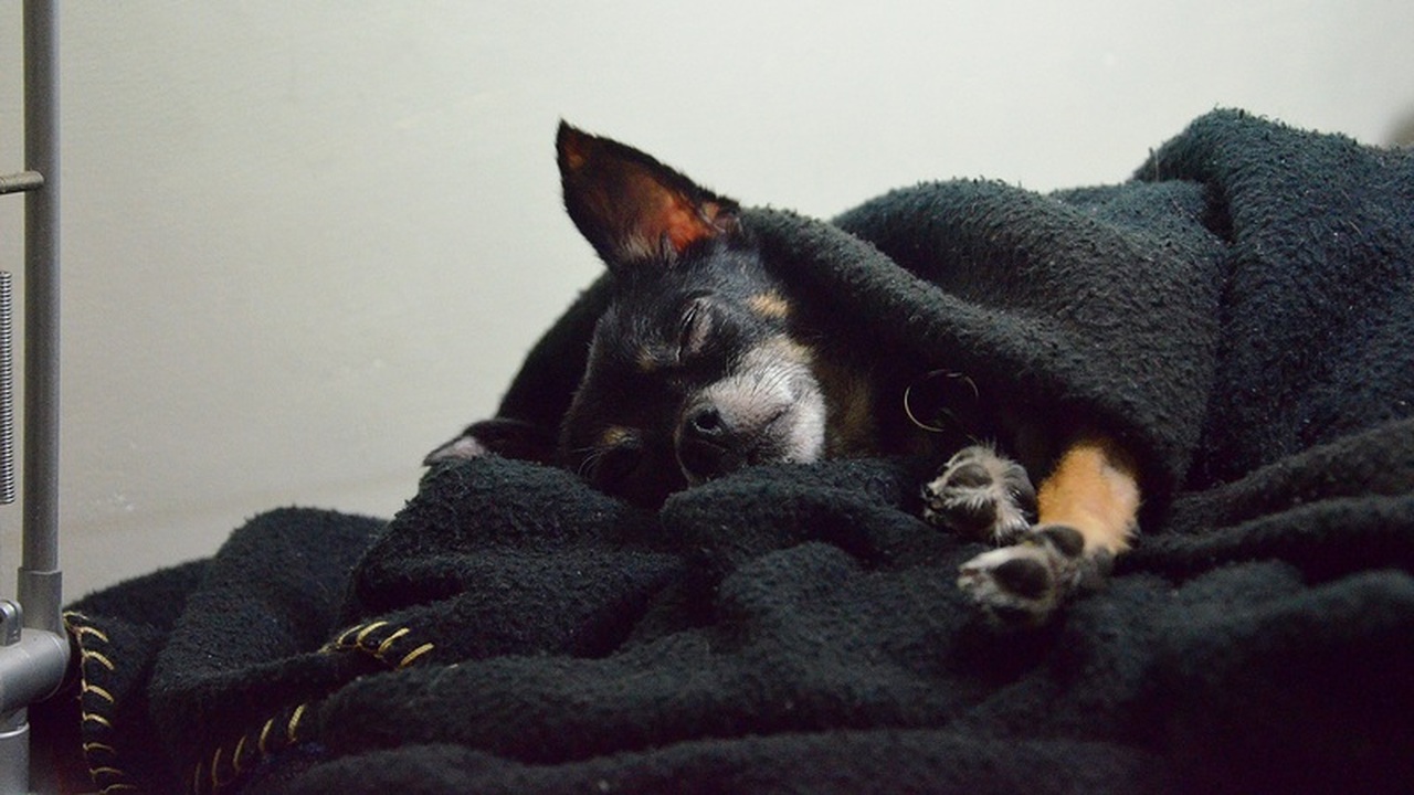 Нейросети помогут выявлять эпилепсию во сне Специалисты Нижегородского государственного уни...