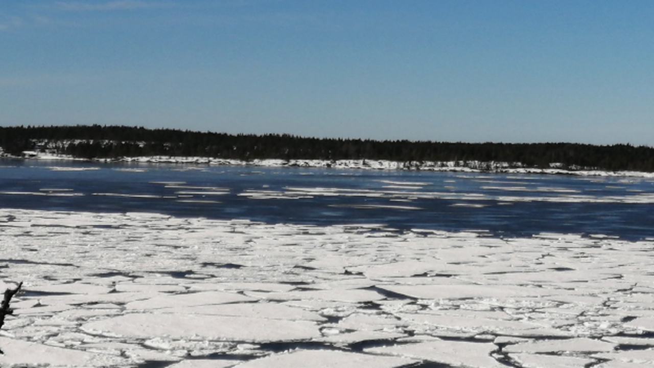 В 12 районах Карелии ввели запрет выхода на лед В ряде муниципалитетов Карелии установлены огра...