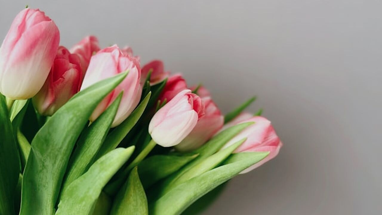 В одном из гипермаркетов рядом с Петрозаводском...