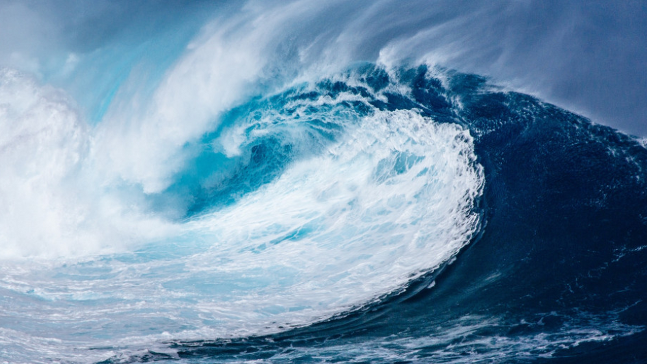 Учёные выявили сотни новых видов в глубинной зо...