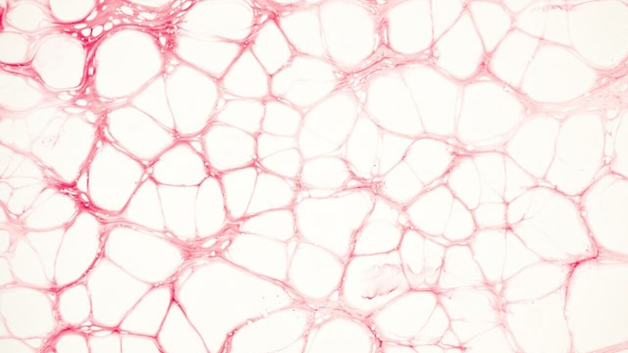 Британские исследователи сообщили о механизме, ...