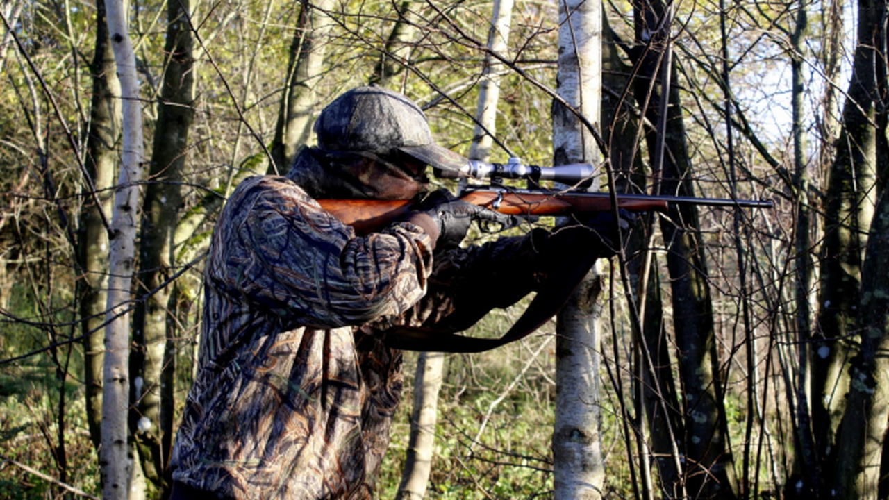 В Карелии установили новые сроки охоты на водоплавающих птиц В Республике Карелия изменены сроки весенней ох...