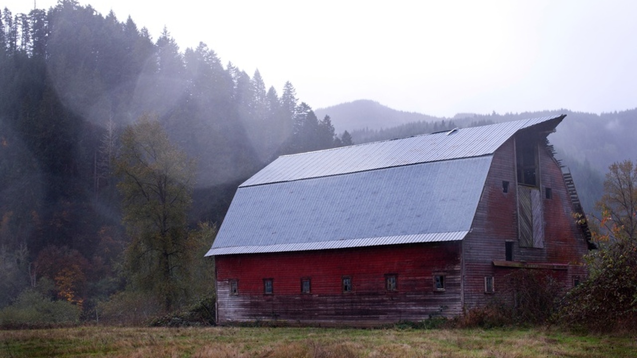 Новый год на даче без ущерба дому: пошаговый алгоритм от эксперта Встретить Новый год на даче, сохранив при этом ...