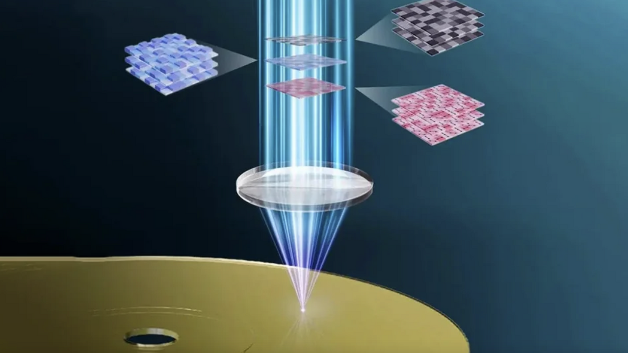 В Фуцзяньском педагогическом университете созда...