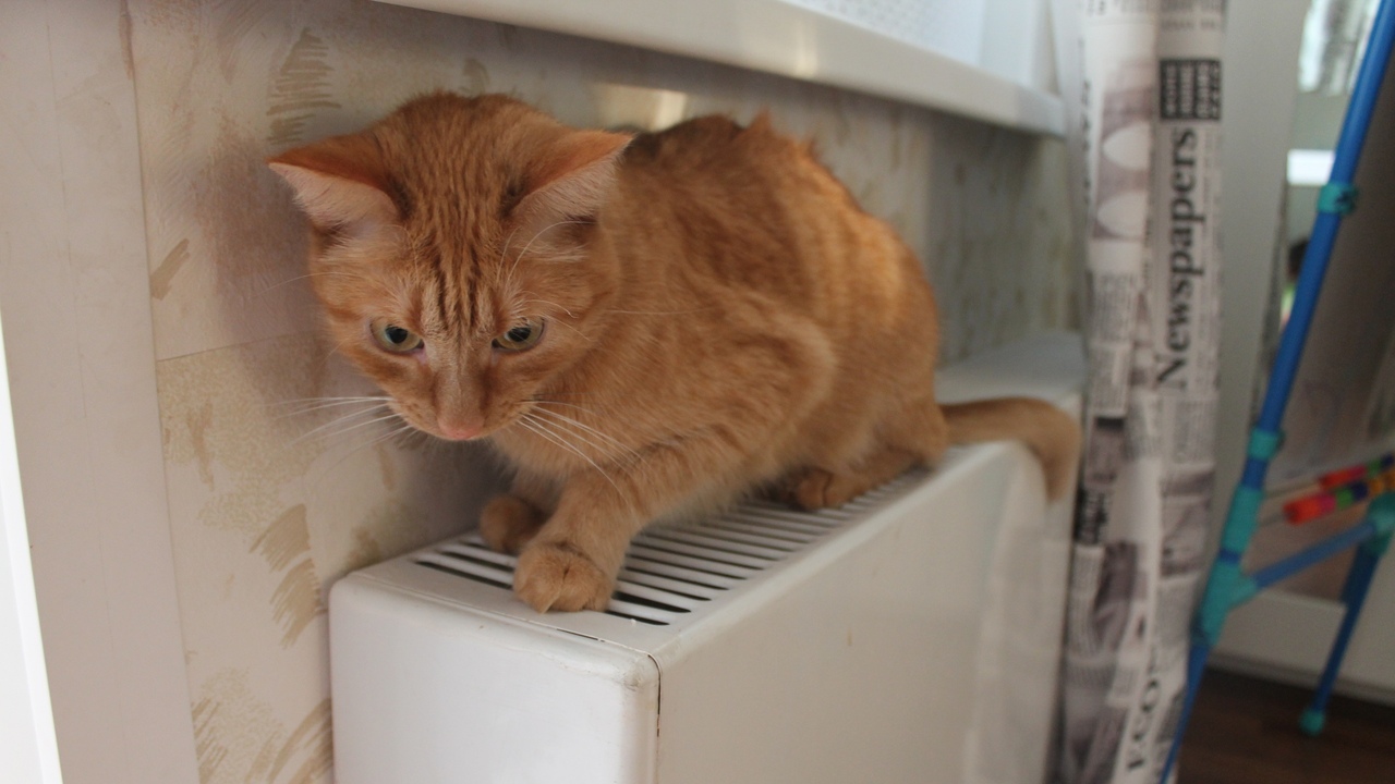 В Госдуме объяснили, по каким правилам отключаю...