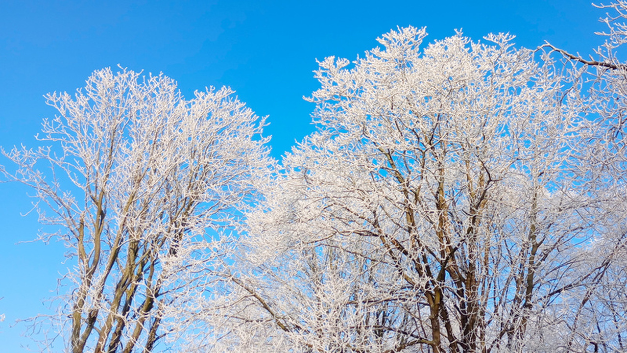 Мороз не помеха: как обеспечить легкий запуск автомобиля зимой С наступлением холодов многие водители сталкива...