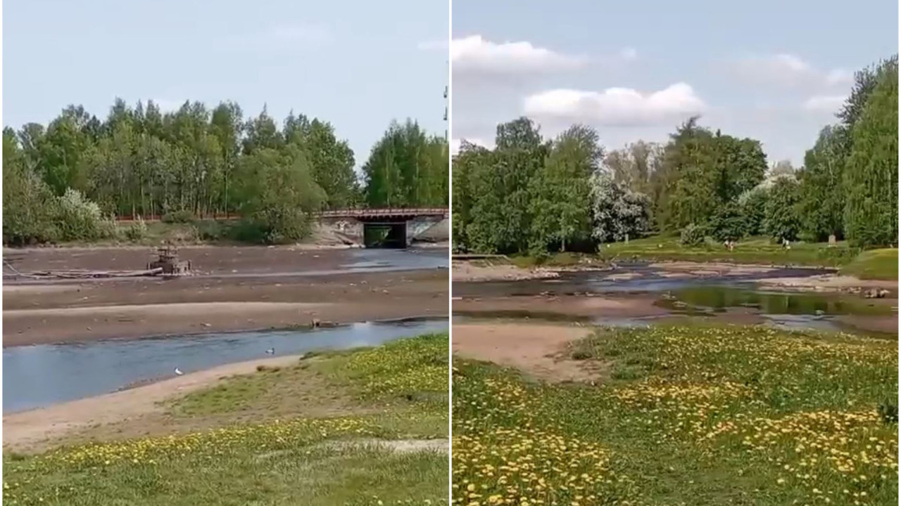 Французский пруд в Петрозаводске пересох — жители гадают, куда ушла вода В Зарецком парке Петрозаводска исчезла вода из ...