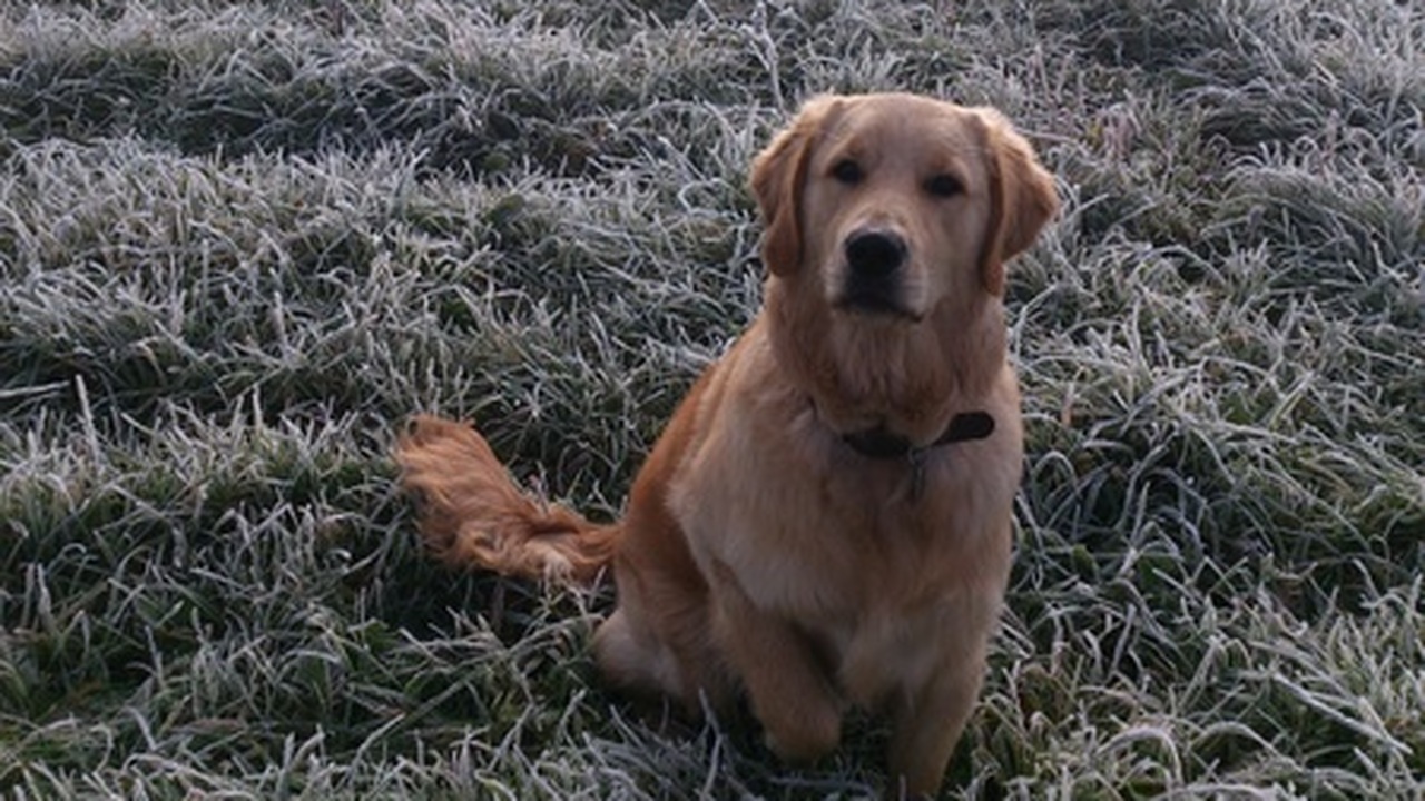 Новое исследование британских ученых выявило не...