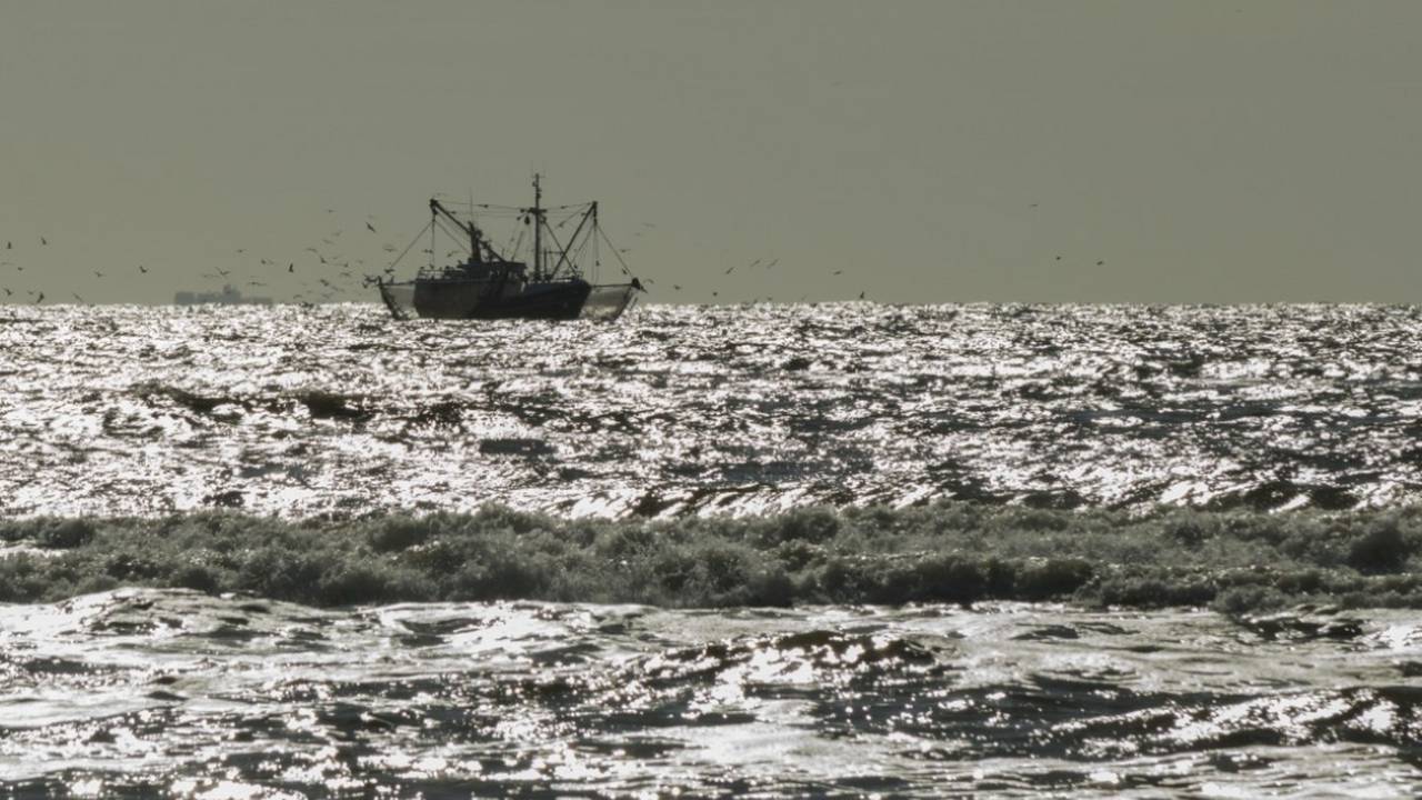 Учёные Всероссийского НИИ рыбного хозяйства и о...