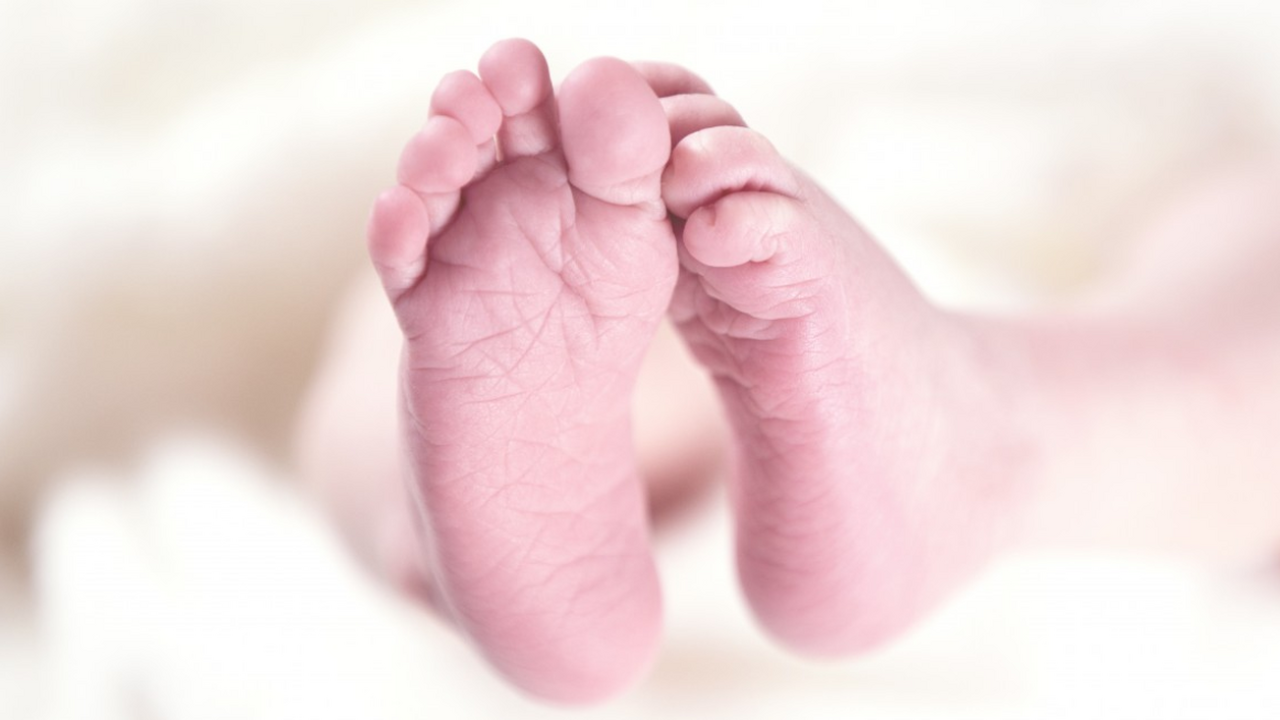 Жительница Екатеринбурга обнаружила маленькую д...