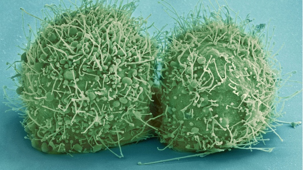 Учёные рассказали, почему грипп не всегда передаётся в закрытых помещения Новое исследование проливает свет на факторы, с...