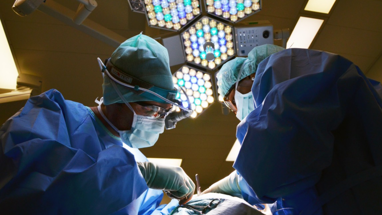 Международная группа исследователей из Великобр...