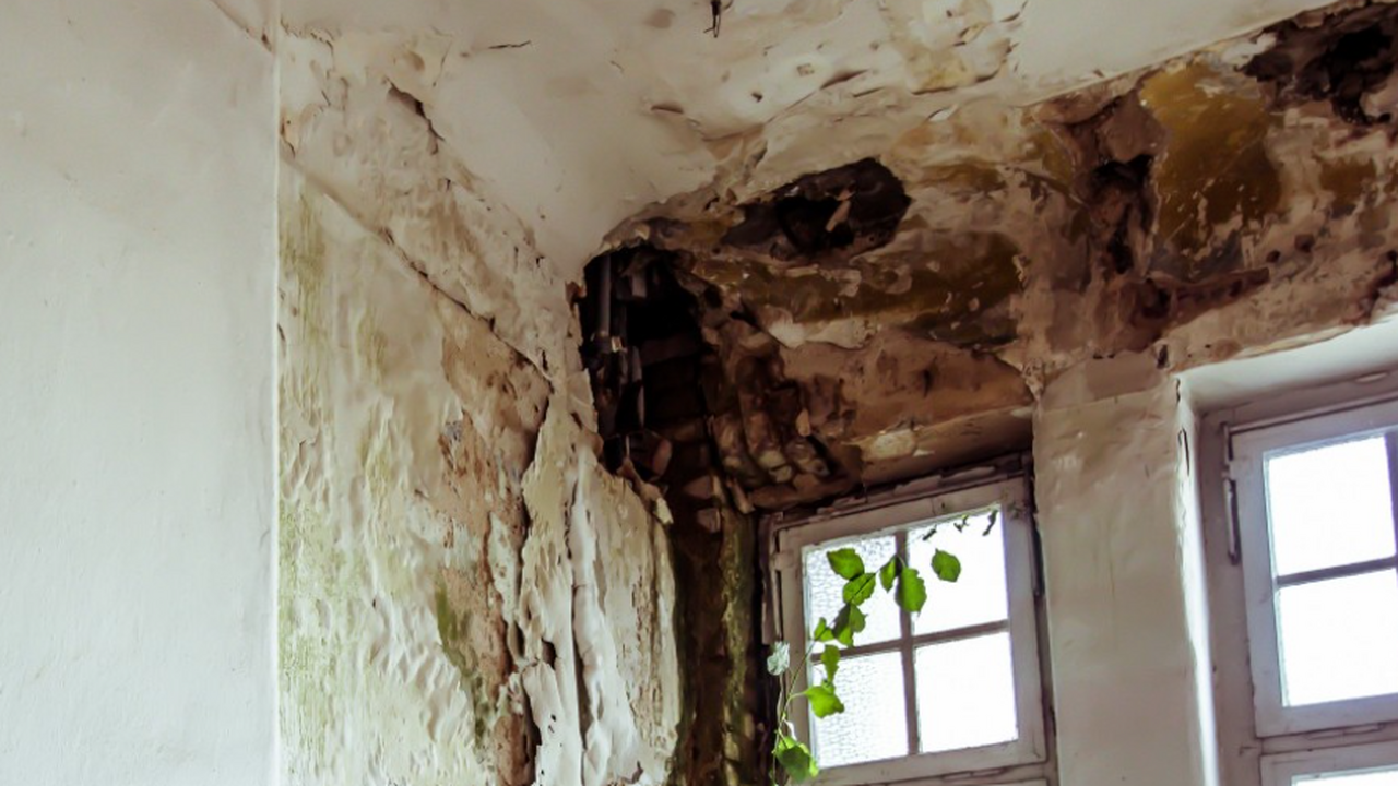 Новое исследование ученых из Бристольского унив...