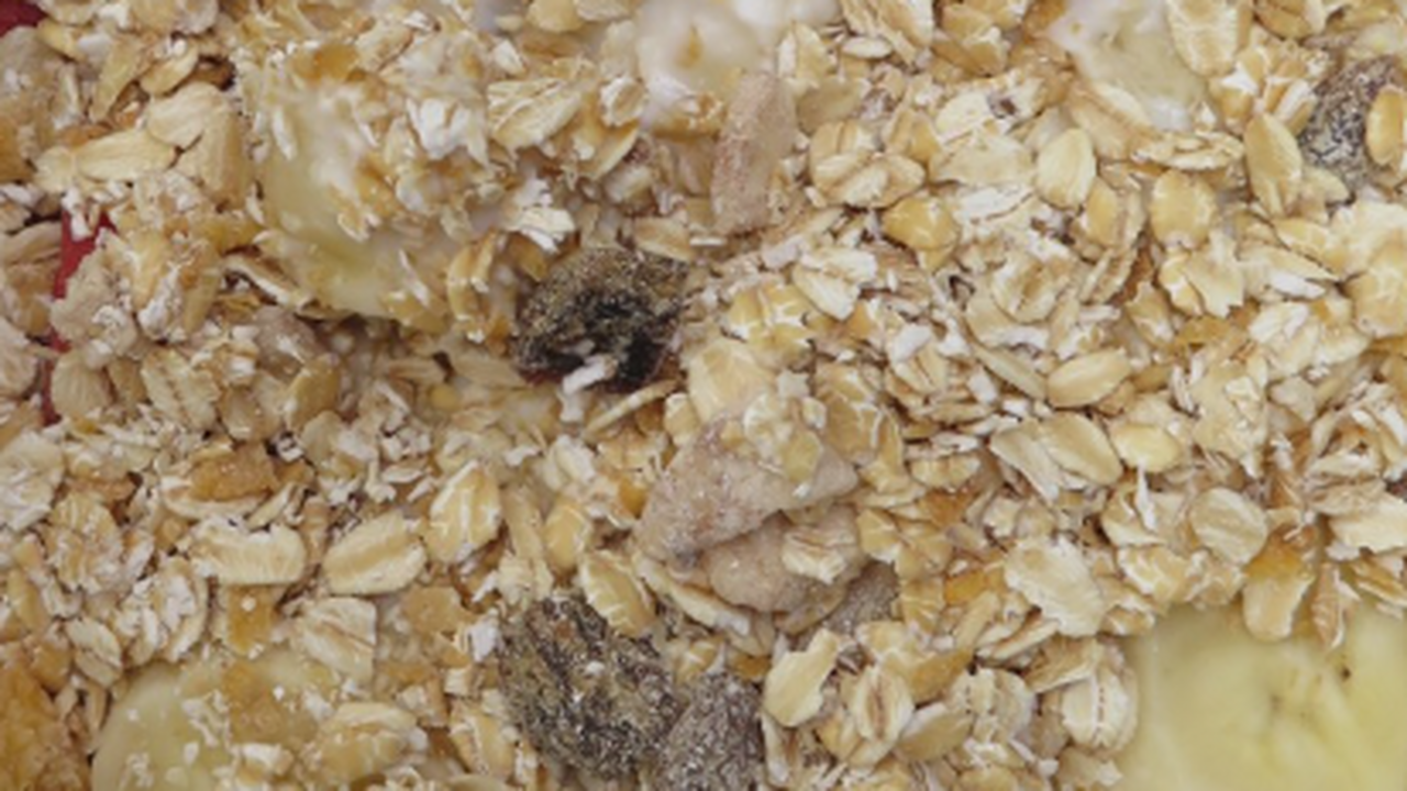 Учёные выяснили, что двухдневная строгая диета ...