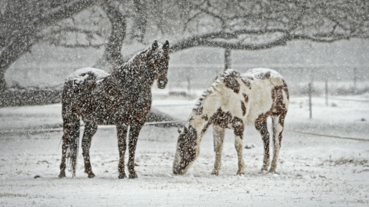 Февраль в Центральной России начнется с сильных...