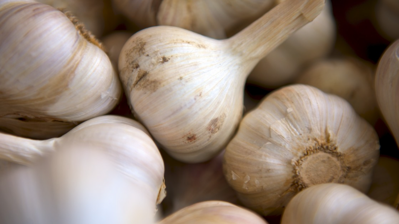 Обычный чеснок может оказаться мощным союзником...