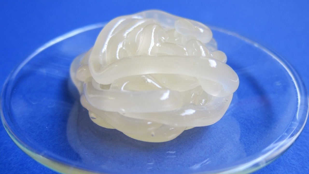 Новое средство для борьбы с «болезнью бабочки» стало доступно в России Российские пациенты с буллезным эпидермолизом, ...