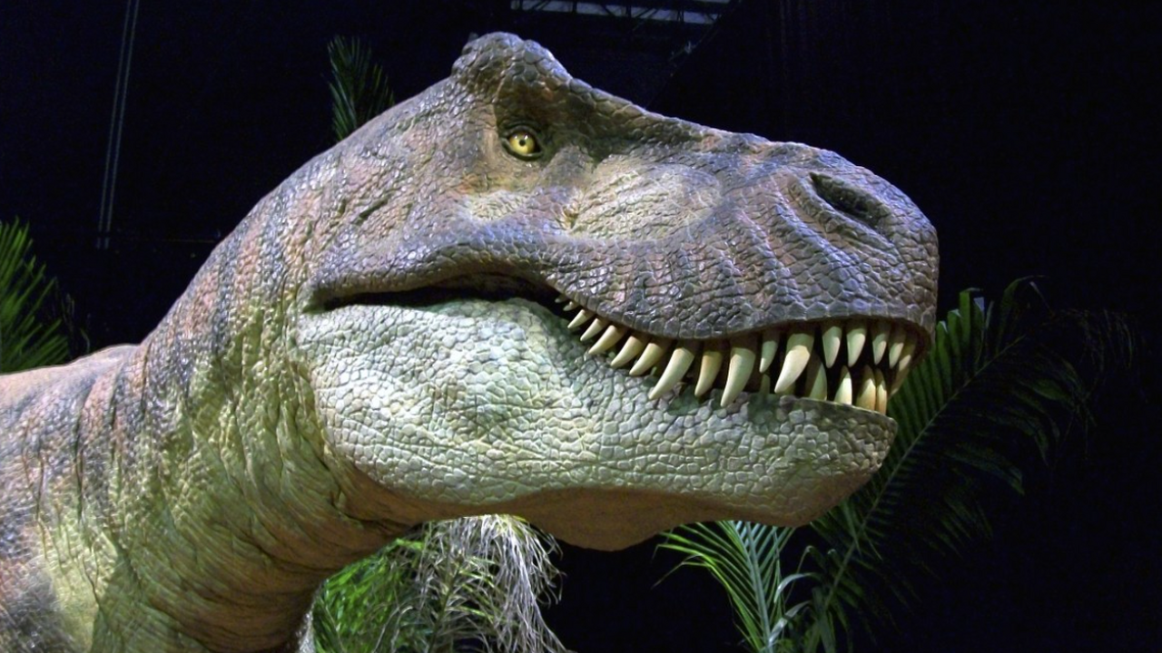 Генетика против Голливуда: почему динозавров нельзя вернуть к жизни Научное сообщество опровергает голливудскую фан...