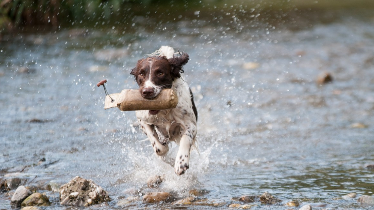 В США расследование убийства получило неожиданн...