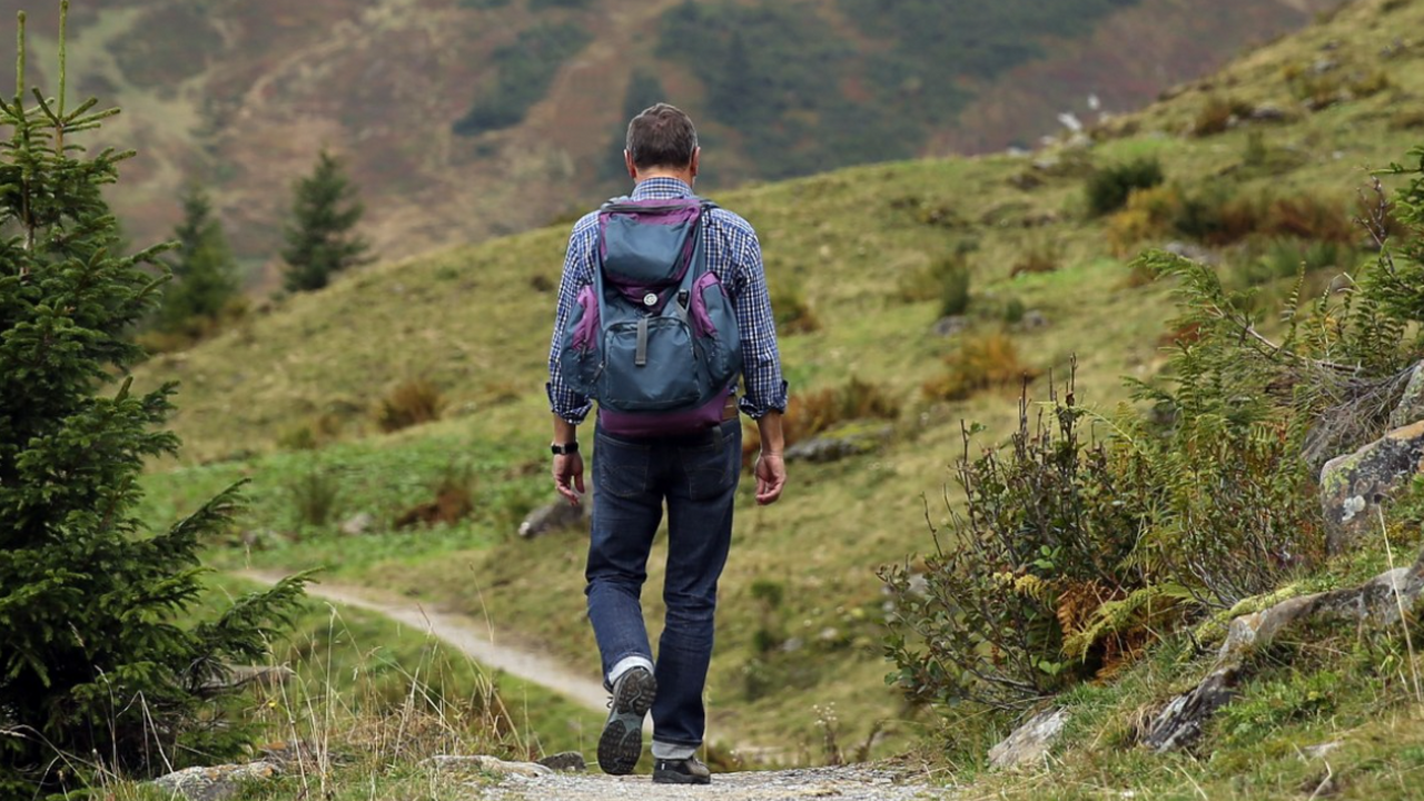 В 2026 году туристические предпочтения россиян ...