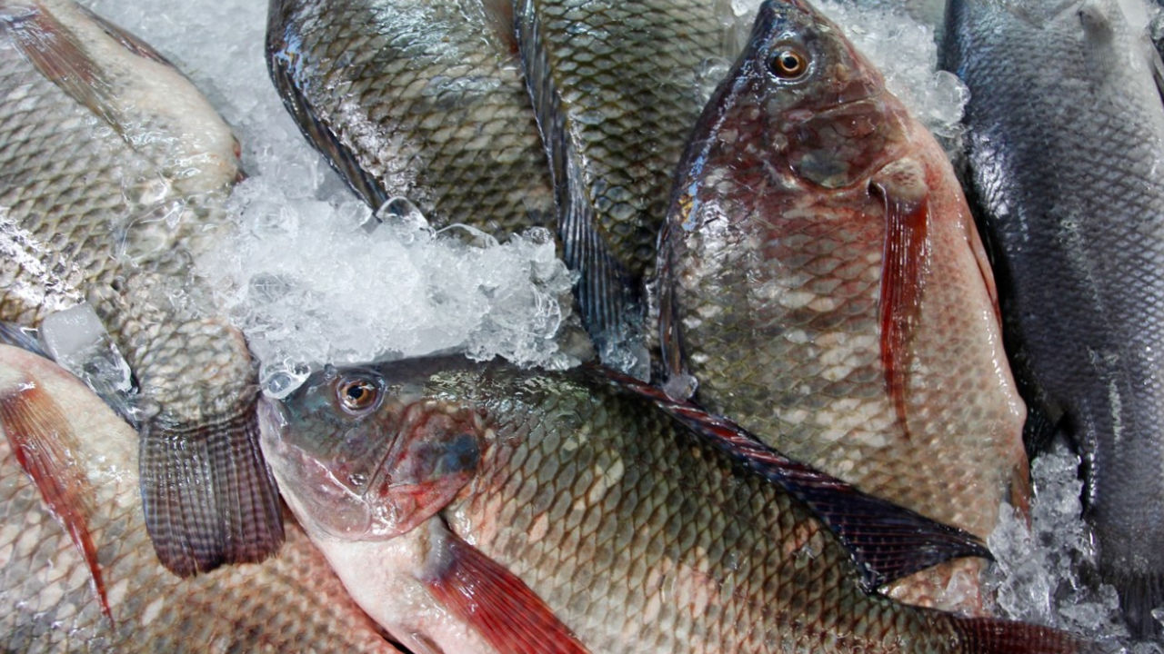 Диетолог Маргарита Королёва напомнила, что не в...