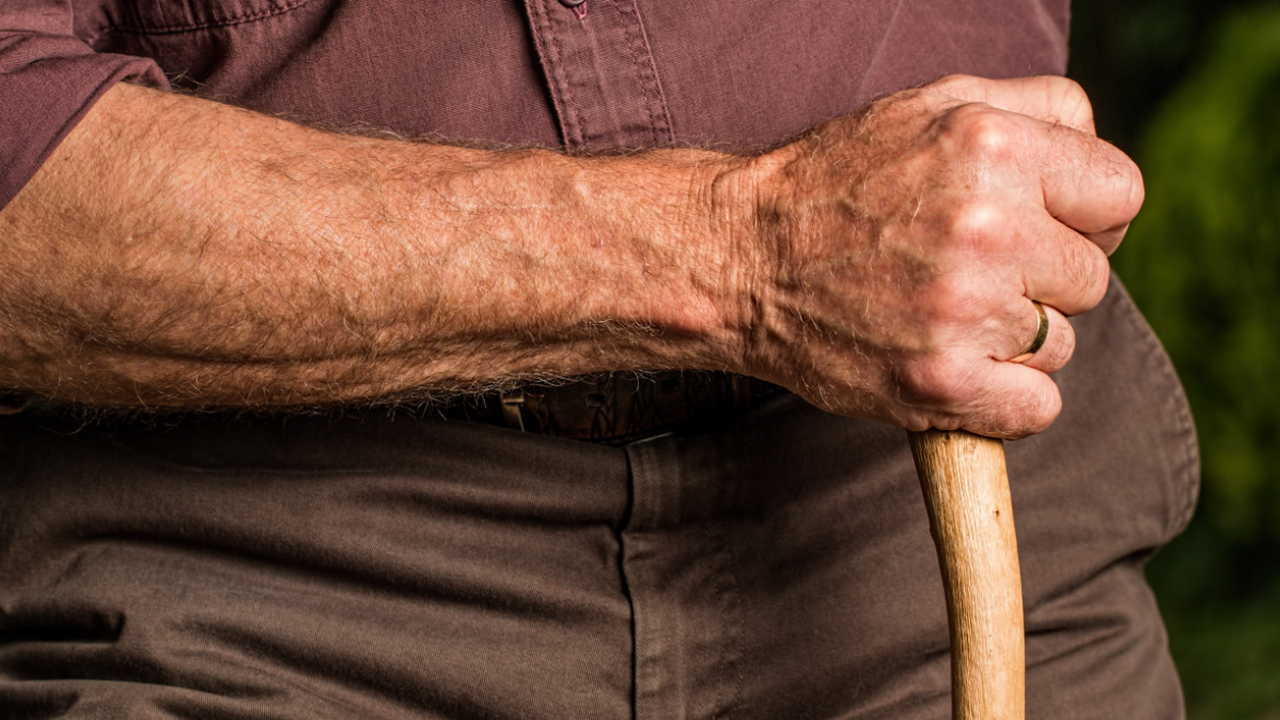 Исследователи подтвердили высказывание Владимир...