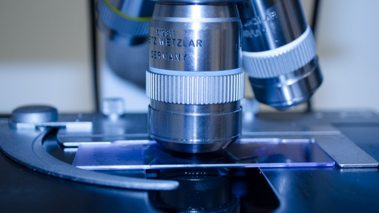 Ученые нашли новых кандидатов для проведения экспериментов Исследователи Уральского федерального университ...