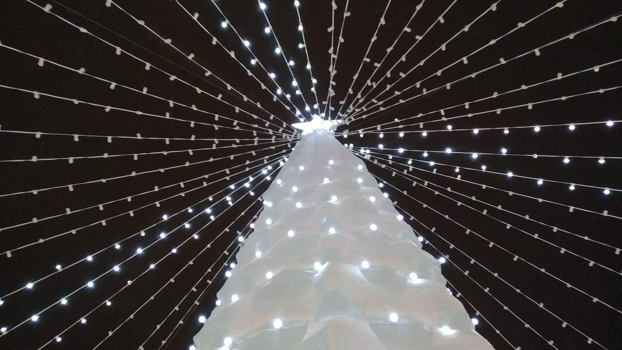 Ученый КФУ рассказала, как праздничный декор вредит климату Профессор Светлана Селивановская, директор Инст...