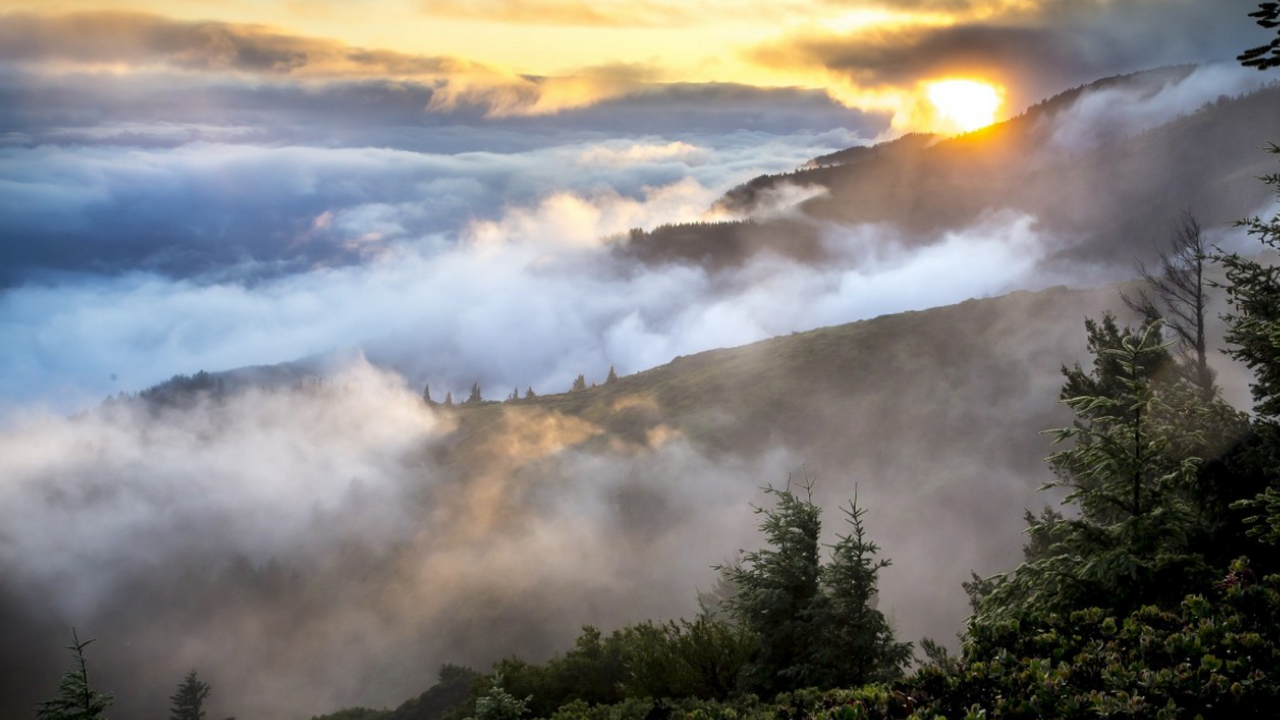 В одном из удалённых районов специалисты зафикс...