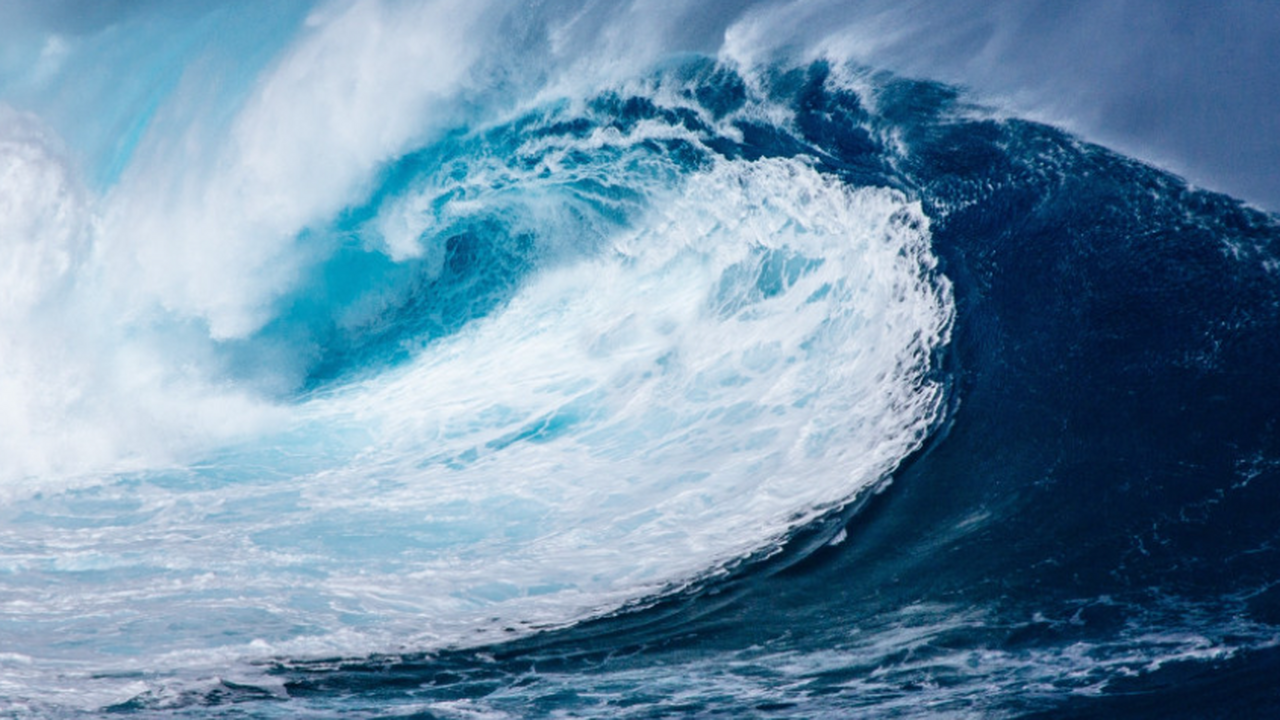 Ученые обнаружили загадочное морское существо с восемью челюстями Ученые обнаружили загадочное морское существо с...