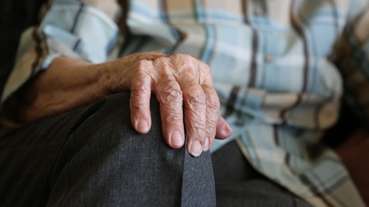 Ученые назвали необычный и простой способ продлить жизнь Ученые выявили новый аспект влияния физической ...