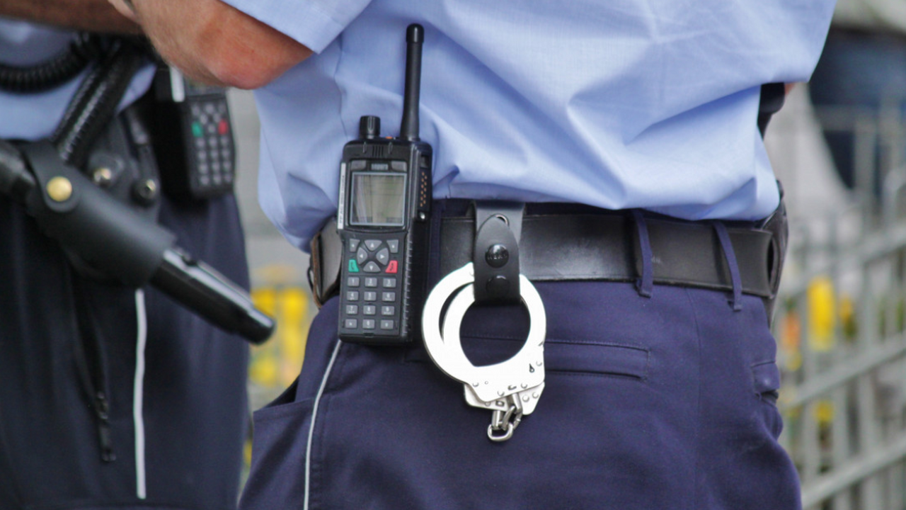 В Португалии был задержан один из наиболее разы...