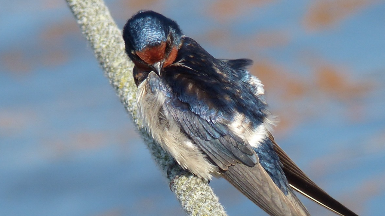 Исследование показало, что экстремальные холода...