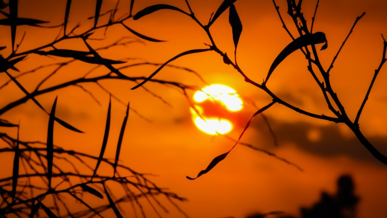 Ученый Зимовец назвал необычным отсутствие пятен на Солнце во время активности Отсутствие солнечных пятен на обращенной к Земл...