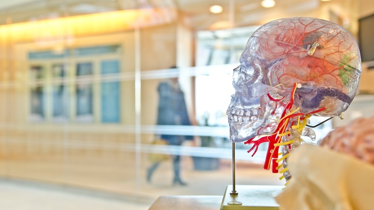 Вечерний спорт: друг или враг вашего сна? Ученые развеяли миф Долгое время считалось, что интенсивные трениро...