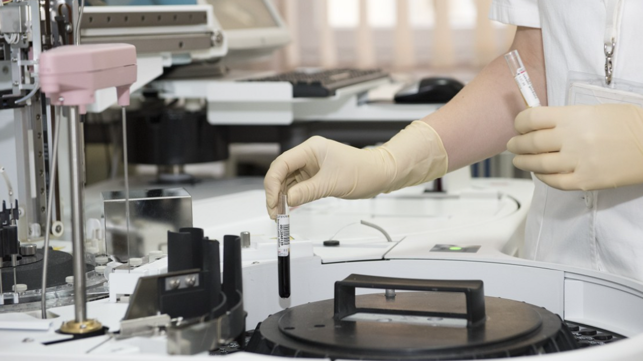 GS: ученые нашли способ блокировать болезнь Альцгеймера Исследователи Университета Нью-Мексико заявили ...