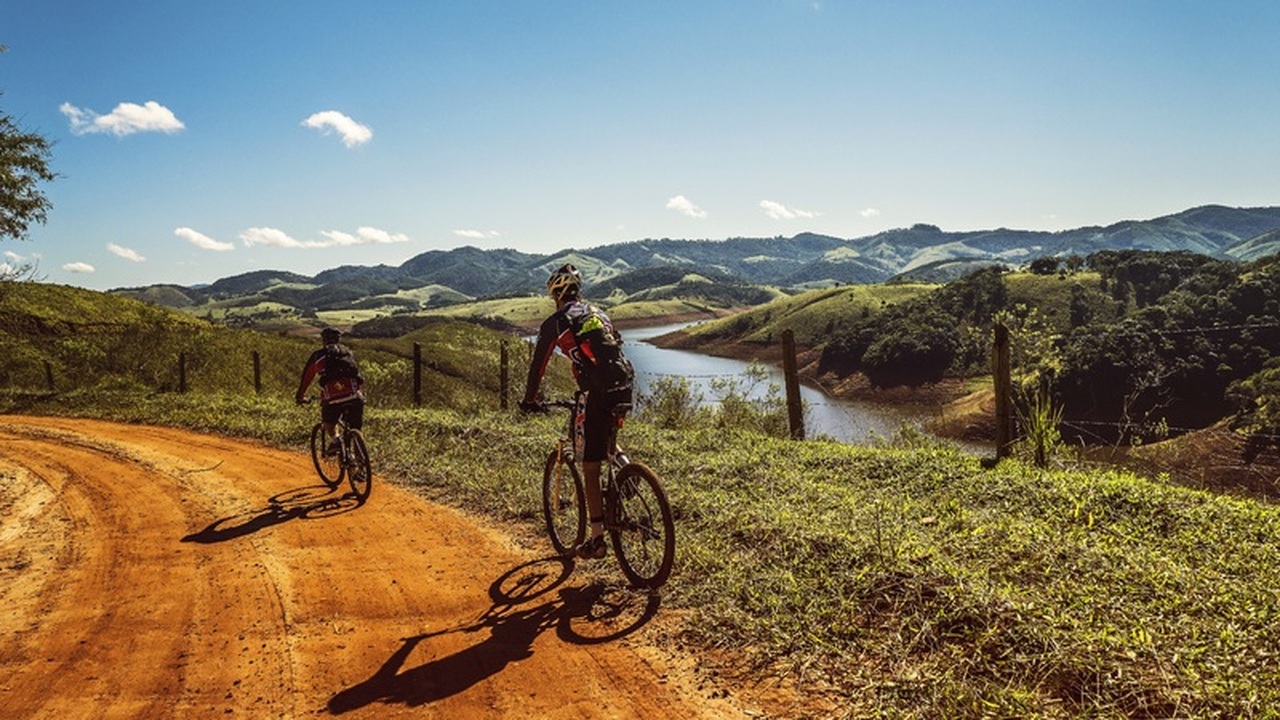 Исследователи из Федерального университета Сан-...