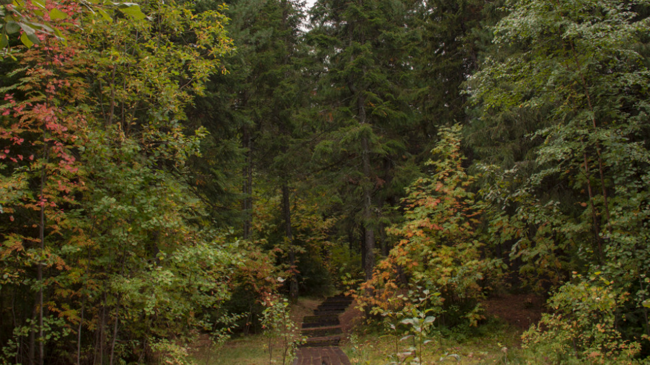 В одном из удалённых регионов исследователи сто...